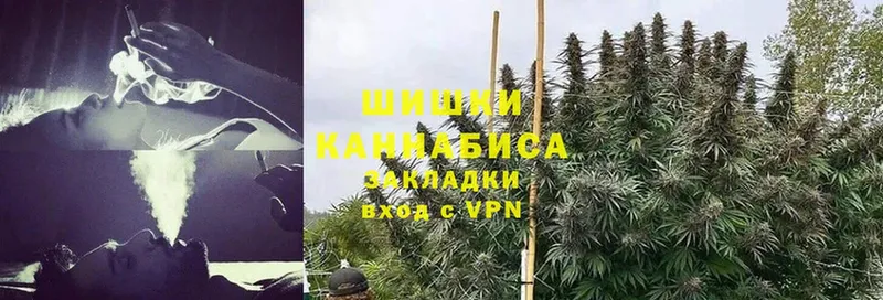 Бошки марихуана White Widow  Исилькуль 